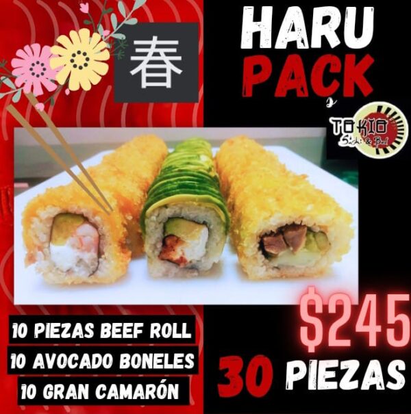 PAQUETE HARU PACK